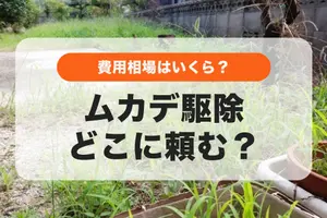 ムカデ駆除はどこに頼む？相場費用や依頼できる場所、自分でできる駆除方法も