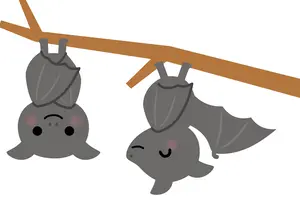 コウモリの来る家の特徴は？コウモリの被害についてもご紹介