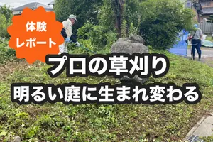 伸び放題の草を刈り取り明るい庭へ！くらしのマーケットで草刈りを体験