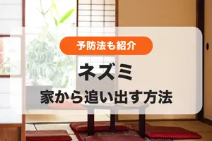 ネズミを家から追い出す方法│住みついたネズミの対処方法を紹介