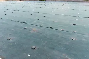 防草シートの敷き方や効果を教えて！