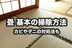 畳掃除の基本｜簡単な方法からカビ・ダニなどの対処法まで