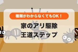 【アリ駆除】家に出たアリを自分で退治！市販薬の効果的な使い方と限界サイン