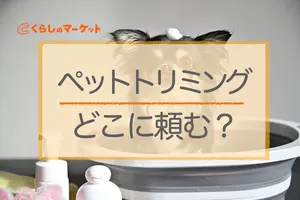 ペットトリミングはどこに頼む？場所別おすすめポイント・料金と注意点