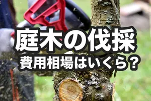 伐採費用の相場｜庭木の伐採に補助金制度はある？安くする方法も