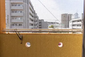 鳩よけネットをベランダに取り付けたい！ 取り付け方と注意ポイント