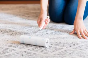 ゴキブリのふんを発見！放置＆潰すリスクと菌をばらまかない掃除方法