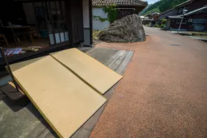 畳の天日干しは春と秋がベスト！天日干しの効果と手順を詳しく解説！