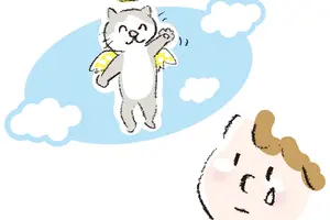 ペットの葬儀の段取りについて教えて！