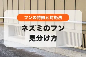 【画像あり】ネズミのフンを見つけたら？フンの見分け方と対処方法