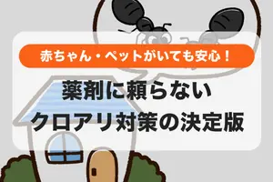 【赤ちゃん・ペットに安心】殺虫剤を使わないクロアリ対策！自分でできる駆除・予防の全手順