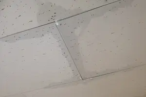 雨漏りの応急処置　まずは水を受けて被害を最小限にすることが重要