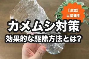カメムシ対策に効果的な駆除・侵入防止・悪臭対処法｜大量発生に注意