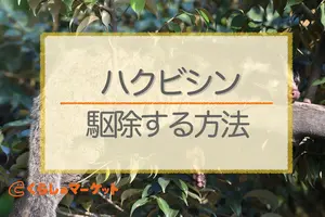 ハクビシン駆除を自分で行う方法を解説｜ハクビシンの特徴と注意点も