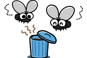 どこから出てくる？コバエの発生源の見つけ方と予防方法を紹介