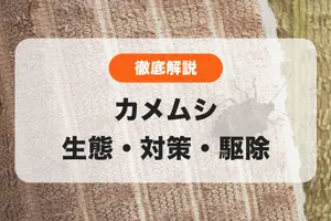 カメムシはなんで家に入ってくる？プロが生態・対策・駆除を徹底解説🪲