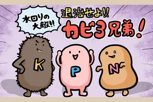 カビが発生する原因と影響、家庭でできるカビ対策