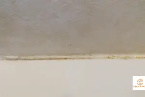 【水回りのゴムパッキン（コーキング）の掃除法】黄ばみ・ピンクぬめり・カビは落とせる！