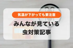 みんなが見ている虫対策記事まとめ👀気温が下がり始めるこれからの時期も要注意❗️