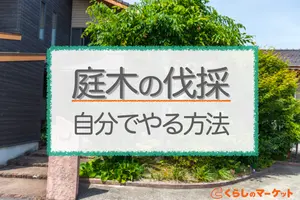 庭木の伐採を自分で安全にやる方法｜費用を安くするコツも