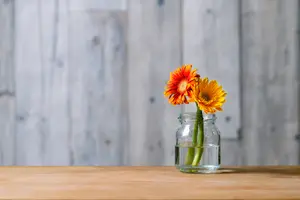 飾るだけで部屋を華やかにしてくれる花瓶を紹介します。