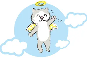 出張ペット火葬って、どんなことをしてくれるの？