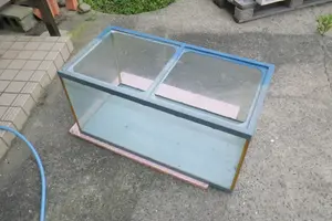 水槽に水垢がつく3つの原因と水質悪化の予防や対処法