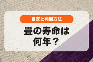 畳の寿命は何年？判断ポイントと長持ちのコツ・張替え目安も紹介