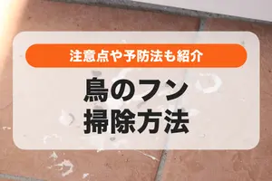 ベランダの鳥のフンの掃除方法と注意点│予防法も紹介