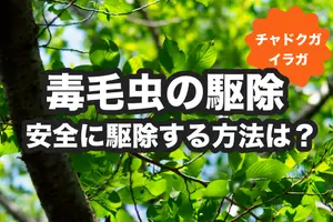 チャドクガなど毒毛虫の駆除方法と刺された時の対処法【実物画像あり】