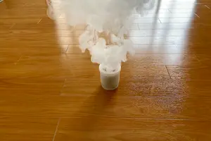 引越し時にバルサンしないとGが増える？リスクや使用時の注意点を紹介