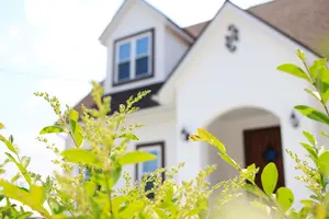 プリペットの生垣｜基本の育て方とうまく育たない原因