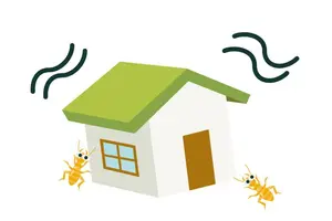 シロアリの発生原因は？シロアリが出やすい家の特徴