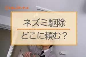 ネズミ駆除はどこに頼む？駆除事業者を見極めるポイントを紹介