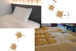 ダニの被害を減らしたい！ベッドと布団どっちがいいの？予防が簡単なのは？