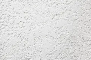 モルタルについてしまったカビはどう落とす？【簡単】お風呂掃除の方法