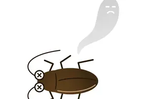 ゴキブリは寿命が短いけれど、繁殖力がスゴイ！ 注意点と対策について解説