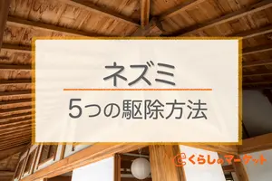 ネズミ駆除方法５つ！ネズミを放置する影響と駆除のおすすめ時期も