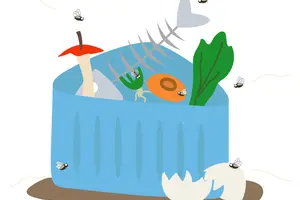 キッチンにコバエが大量発生！寄せ付けないためのコバエ対策と駆除方法を紹介