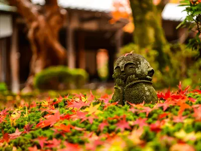 【Wカップ・オリンピック専属カメラマン】自信のプロ仕上げ！