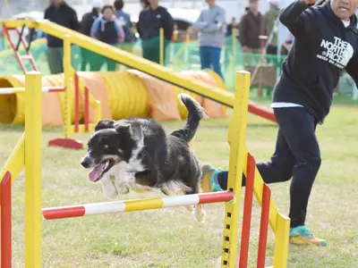 ペットちゃんとご家族の楽しいひと時を撮影いたします。