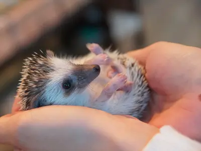 【業歴17年＆フォトマスター１級の実績】土日祝・平日対応OK！時間も柔軟に対応★