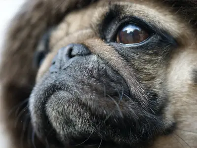 【業歴17年＆フォトマスター１級の実績】土日祝・平日対応OK！時間も柔軟に対応★