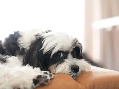 コミュニケーション重視で魅力を引き出す！女性スタッフ同行可で安心の自然な表情撮り