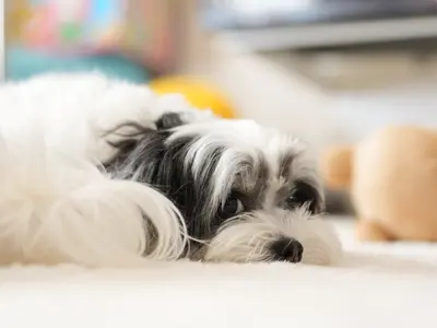 コミュニケーション重視で魅力を引き出す！女性スタッフ同行可で安心の自然な表情撮り