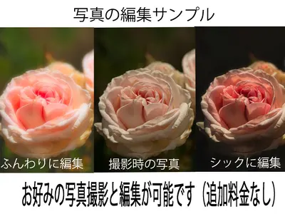 この料金は対応力・技術力の証明。　安売りできない撮影技術を提供します。
