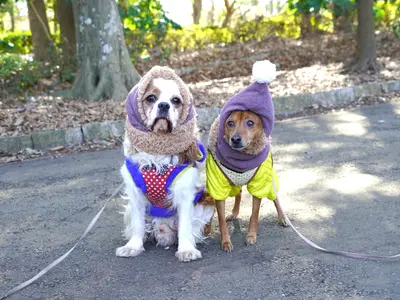 ☆初めての方でも安心できる雰囲気で撮影、 ご家族団欒の笑顔をしっかり引き出します