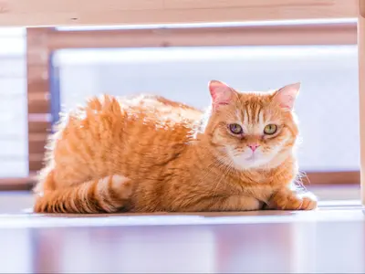 【割引あり】心を込めてシャッターを切ります。並行して動画撮影もできます♪