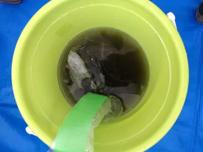 家庭用天井埋込みエアコンオーガニック洗剤クリーニング（1・2方向）