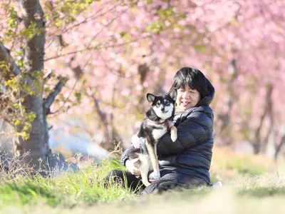 《グランプリ受賞歴多数》土日祝も同料金のシンプル価格！PAYPAY決済も対応済☆